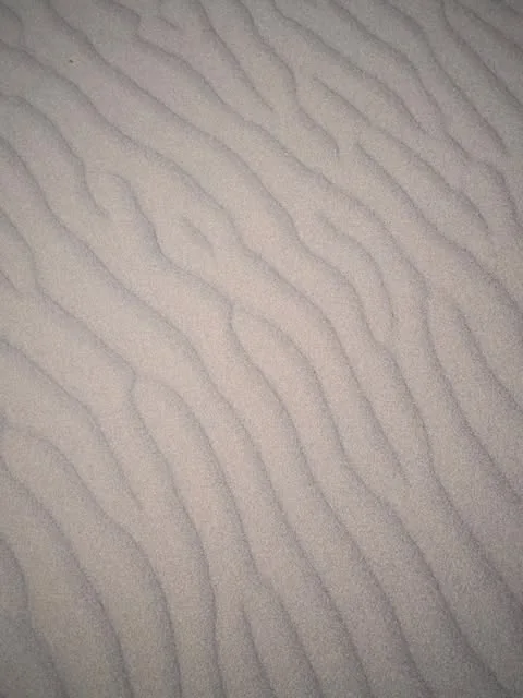 林晉維的攝影
