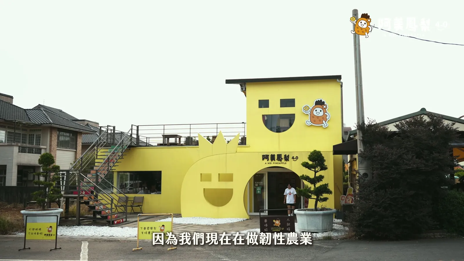 阿美鳳梨 — 品牌形象紀錄片 — 4