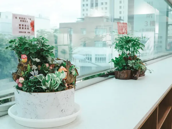 覺森皮拉提斯 — 7