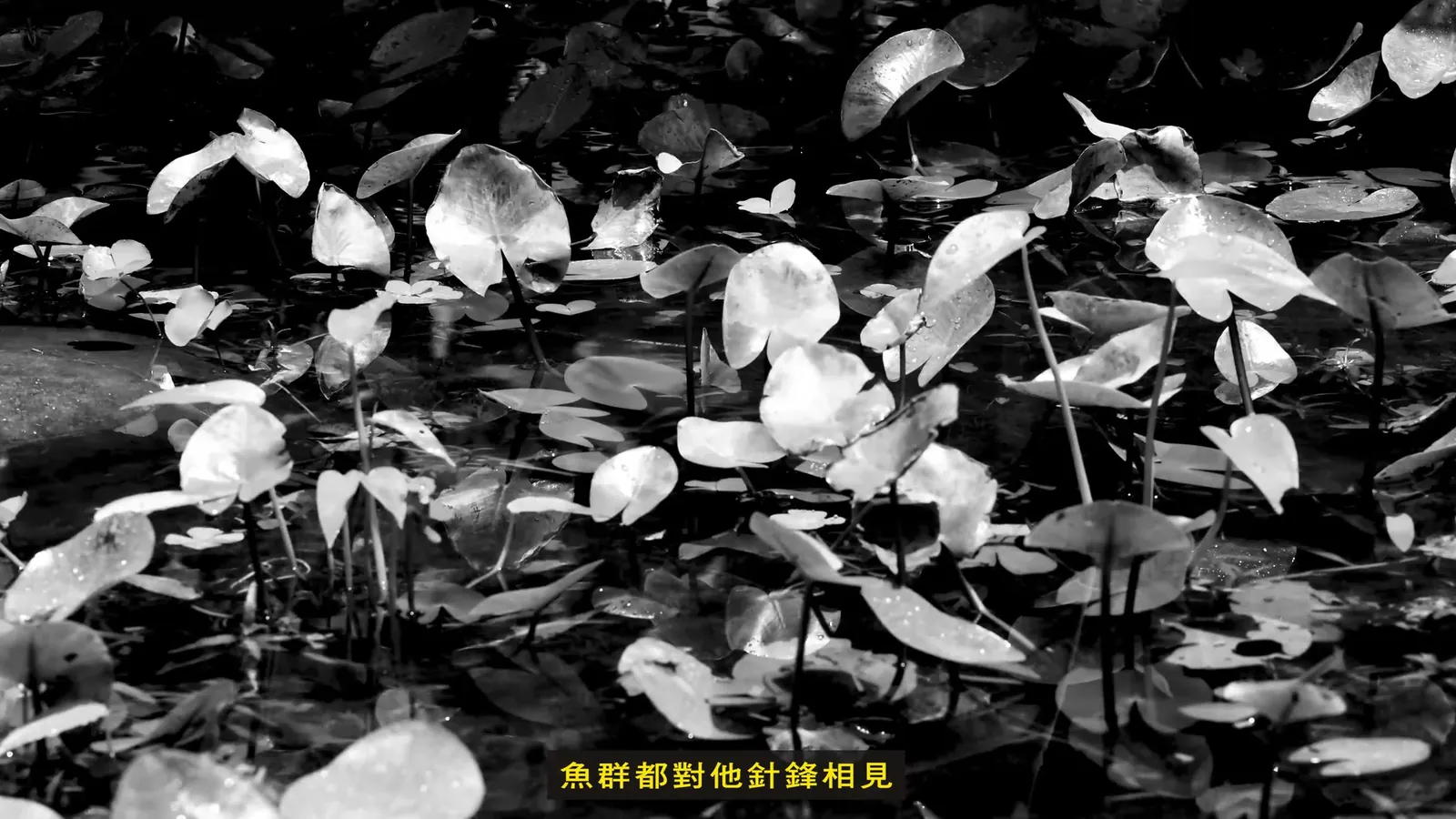 所以，我們創造標籤 — 4