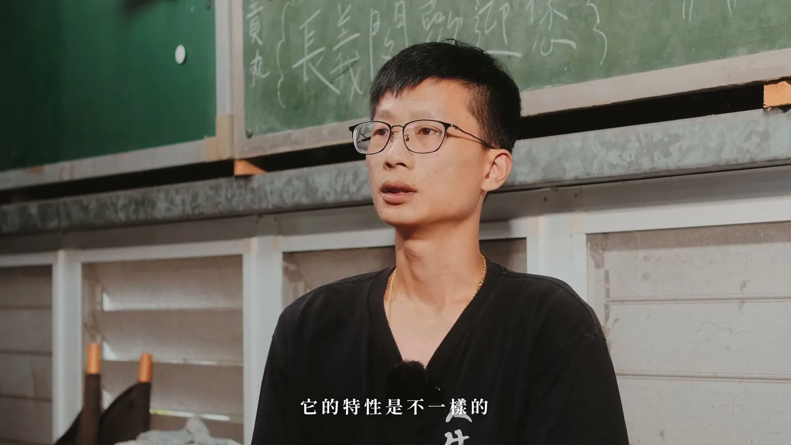 掌聲不老 — 長義閣掌中劇團紀錄片 — 2